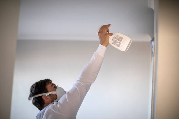 Best Local Mold Removal Service  in Paulina, LA