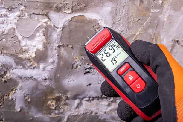 Best Mold Testing  in Paulina, LA