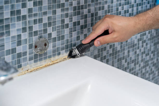 Best Toxic Mold Removal  in Paulina, LA