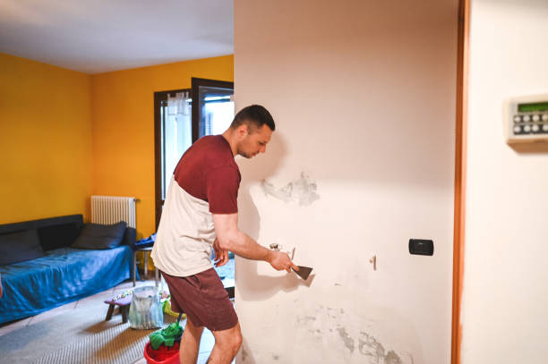 Best Mold Remediation Experts  in Paulina, LA